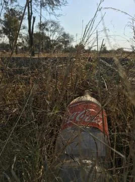 Cola In The Grass Stock-Fotos