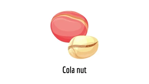 Cola nut icon animation Stock Footage 152554689