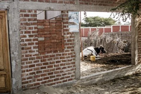 Colan, Peru Foto stock