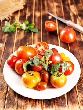 A colander filled with assorted fresh ripe tomatoes, farm to table aesthetic, Stock Photos