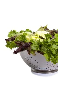 Colander of Lettuce Foto stock