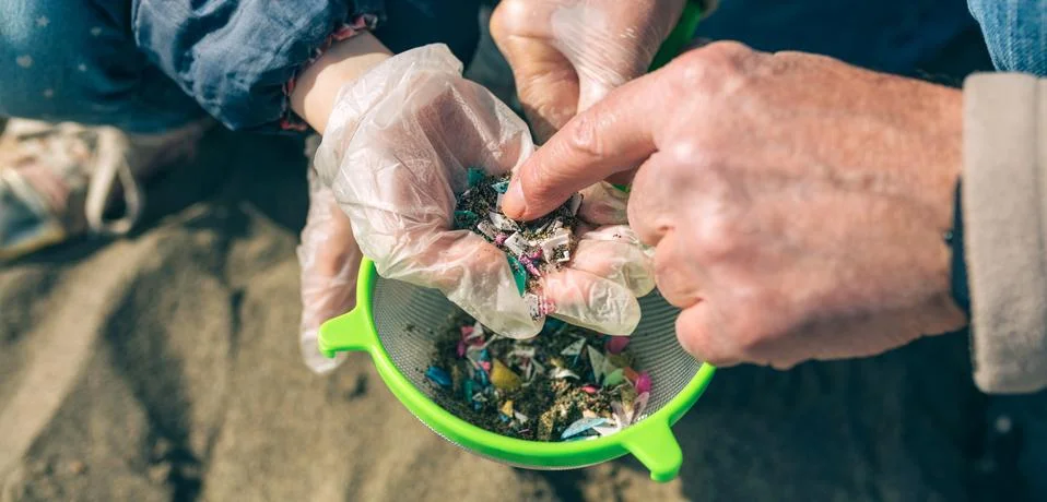 Colander with microplastics on the beach Stock Photos