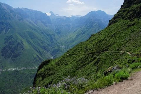 Colca Canyon in Arequipa Region Stock Photos