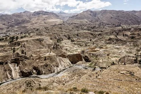 Colca Canyon, Peru Stock Photos