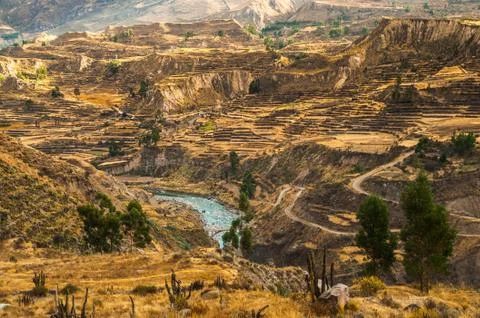 Colca canyon view Stock Photos
