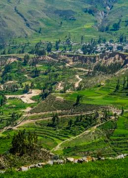 Colca Valley in Peru Stock Photos