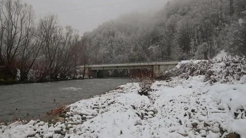 Cold Alpine river flowing in pristine nature in Slovenia Stock Footage 146226246