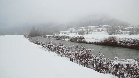 Cold Alpine river flowing in pristine nature in Slovenia Stock Footage 146226308