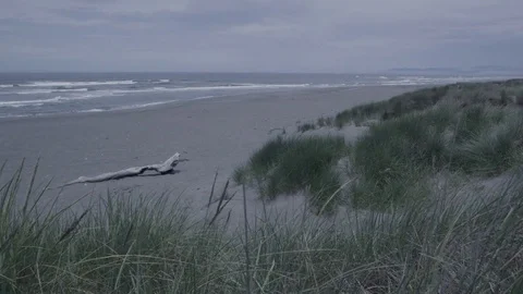 Cold and Abandoned beach Stock Footage 81344584