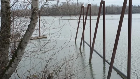 Cold and cloudy winter day near the river Stock Footage 301350304