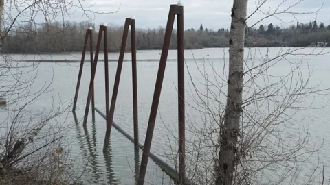 Cold and cloudy winter day near the river Stock Footage 301350305