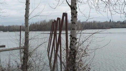 Cold and cloudy winter day near the river Stock Footage 301350306