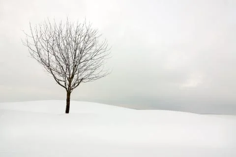 Cold and snow Stock Photos