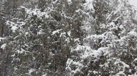 The cold and snowy Stock Footage 35225928