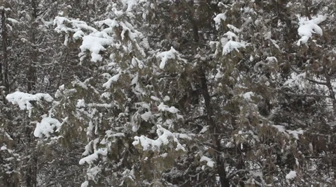 The cold and snowy Stock Footage 35307462