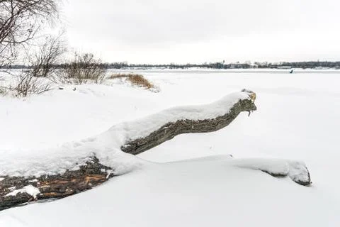 Cold and Snowy Winter Landscape 写真素材