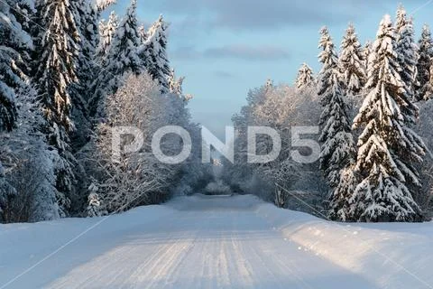 Cold and winter landscapes with snow in Russia Stock Photos