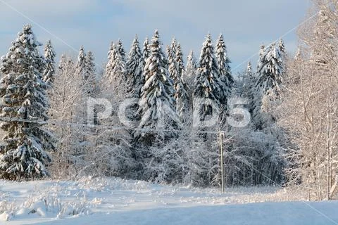 Cold and winter landscapes with snow in Russia Stock Photos