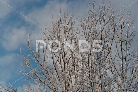 Cold and winter landscapes with snow in Russia Stock Photos