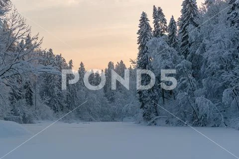 Cold and winter landscapes with snow in Russia Stock Photos