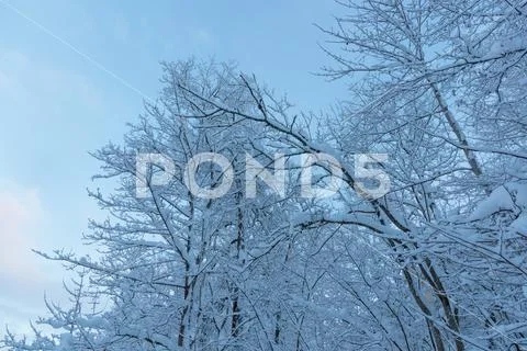 Cold and winter landscapes with snow in Russia Stock Photos