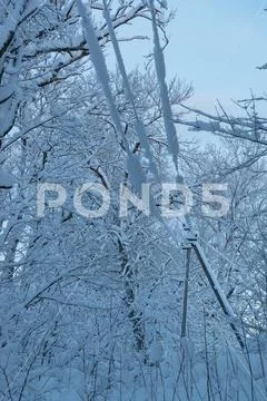 Cold and winter landscapes with snow in Russia Stock Photos