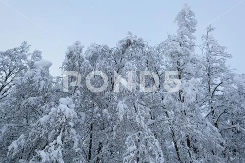 Cold and winter landscapes with snow in Russia Stock Photos