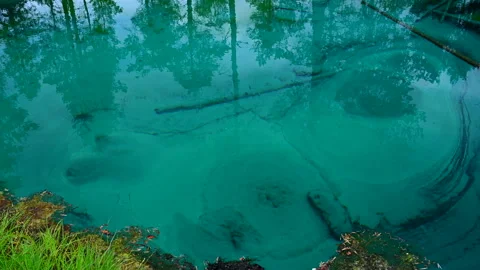 Cold artesian spring with clear turquoise water Stock Footage 245820381