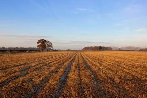 Cold autumn landscape Stock Photos