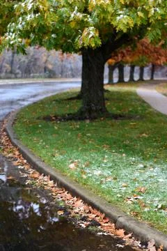Cold Autumn Stock Photos