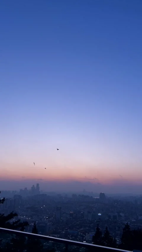 Cold autumn sunset glows above distant city skyline as birds fly across evening Video stock 343476474