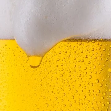 Cold beer with dew drops 写真素材