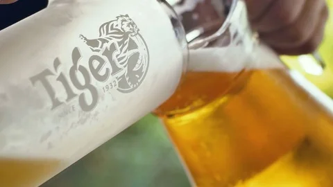 Cold beer pouring from beer pitcher into beer mug Stock Footage 84239218