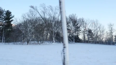 Cold bleak winter landscape with snowy fields Video stock 171908845