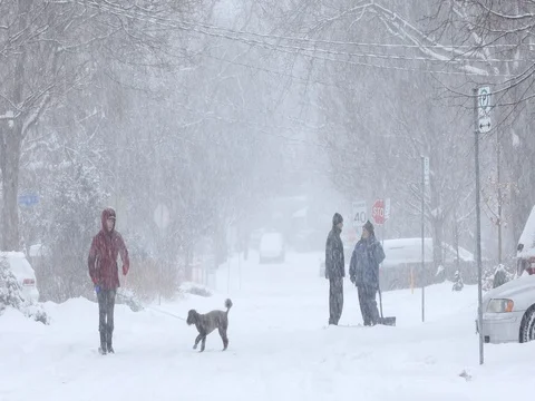 Cold blizzard in a residential area Stock Footage 77532764