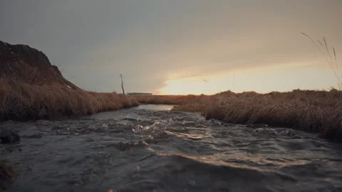Cold bright brook in iceland Stock Footage 106194287