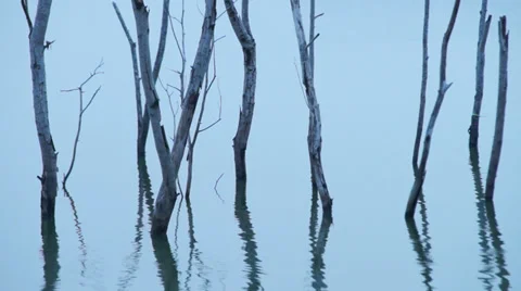 Cold chilly lake Stock Footage 35103186