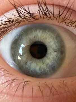 Cold Circle Stock Photos