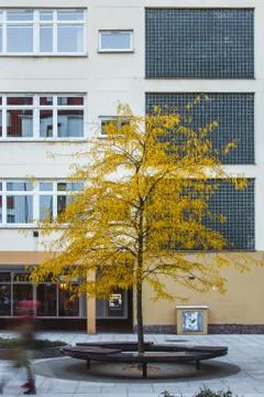 Cold communist style apartment blocks in Wroclaw, Poland in autumn (yellow .. 库存照片