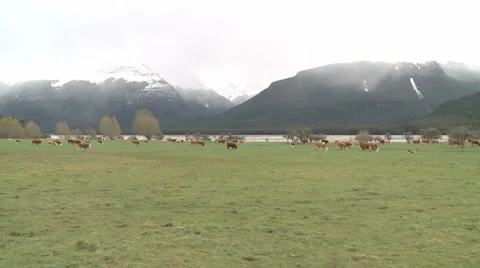Cold cow creek Stock Footage 1255398