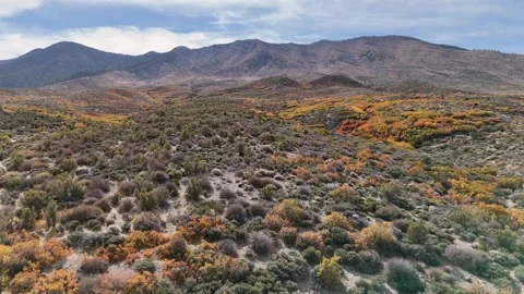 Cold Creek 1 Stock-Footage 292921957