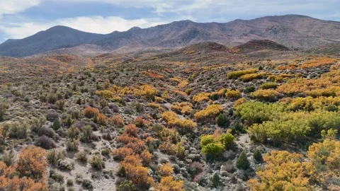 Cold Creek 2 Stock Footage 292921998