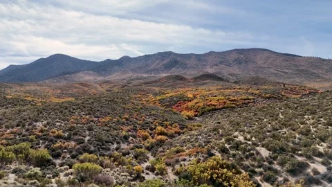 Cold Creek 6 Stock-Footage 292923831