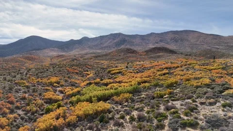 Cold Creek 7 Stock-Footage 292923802