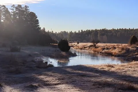A Cold Creek Stock-Fotos