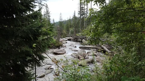 The Cold Creek Waterfalls 스톡 동영상 324812984