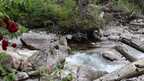 The Cold Creek Waterfalls 스톡 동영상 324812986