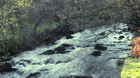 Cold Dartmoor Stream 스톡 동영상 81901382