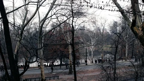 A COLD DAY IN CENTRAL PARK NEW YORK CITY Stock Footage 238634789