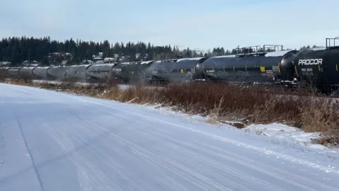 Cold Day at Mud Bay Stock Footage 167778958